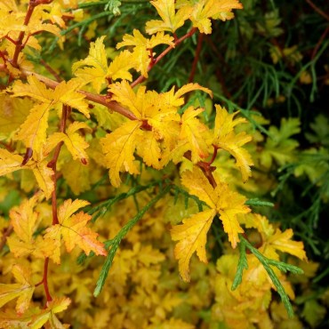 20171011_133529