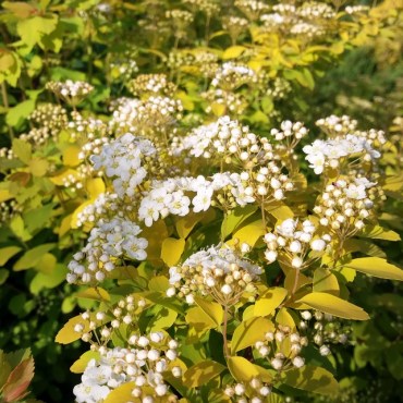 20180503_082407