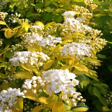 20180503_082429