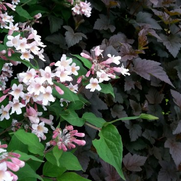 20180522_010046
