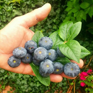 IMG_20170820_113710_618