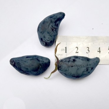 метель3